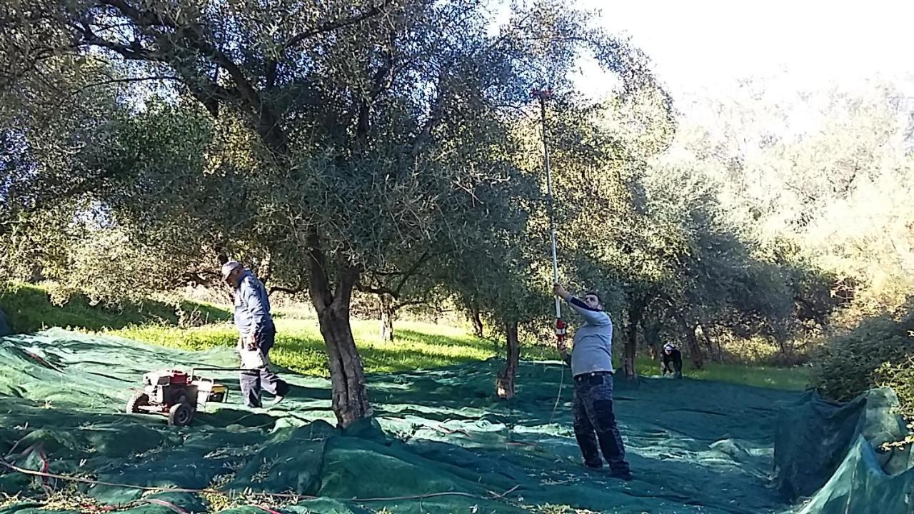 Eleas Gi Villa Βιταλάδες Εξωτερικό φωτογραφία