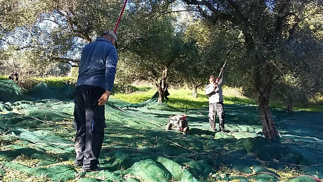 Eleas Gi Villa Βιταλάδες Εξωτερικό φωτογραφία